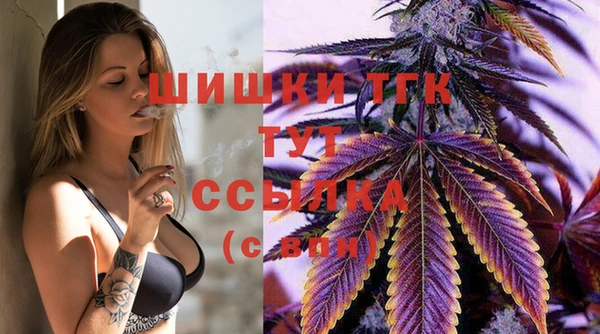 индика Кукмор