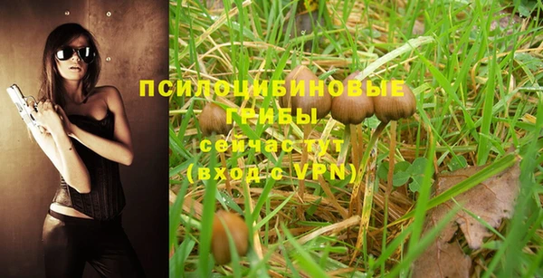 индика Кукмор
