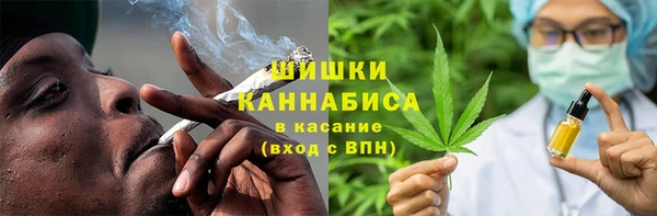 индика Кукмор