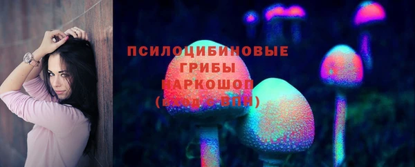 индика Кукмор