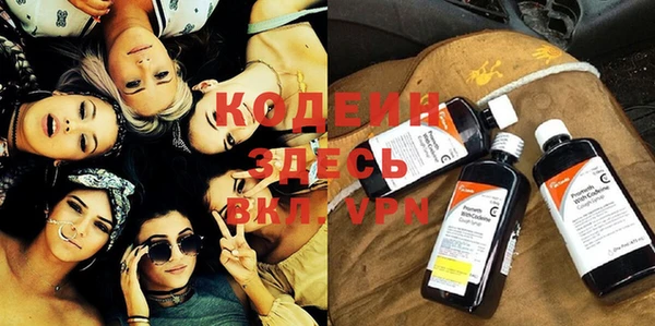индика Кукмор