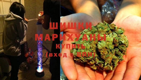 индика Кукмор