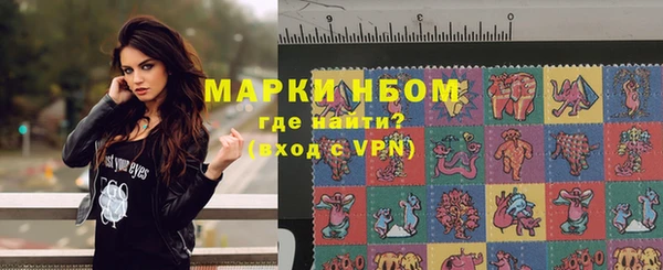 индика Кукмор