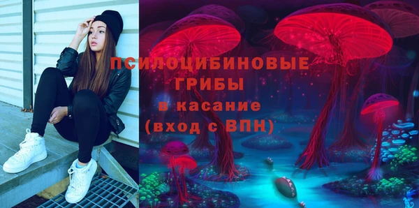 стаф Кулебаки