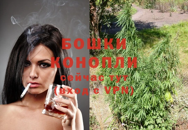 стаф Кулебаки
