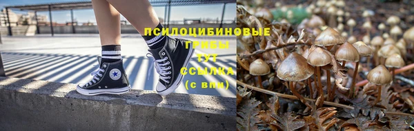 стаф Кулебаки