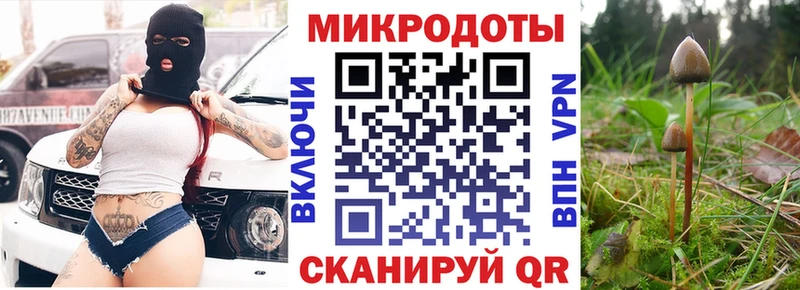 Галлюциногенные грибы прущие грибы  Ухта 